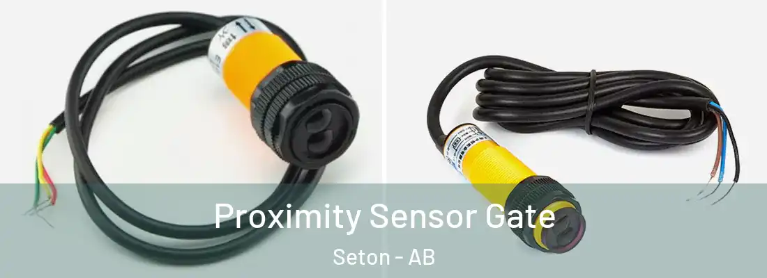  Proximity Sensor Gate Seton - AB