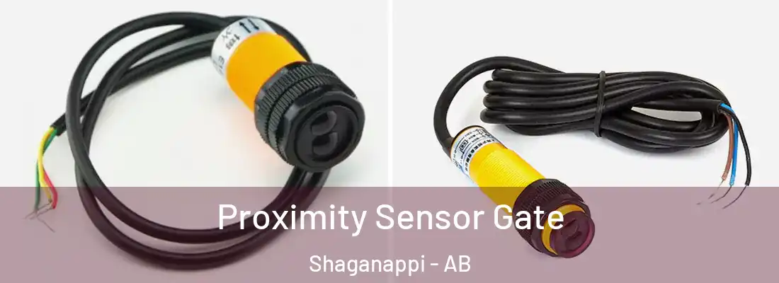  Proximity Sensor Gate Shaganappi - AB