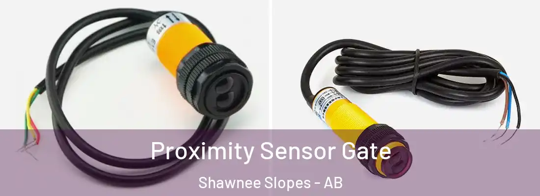  Proximity Sensor Gate Shawnee Slopes - AB
