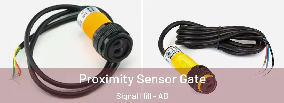  Proximity Sensor Gate Signal Hill - AB
