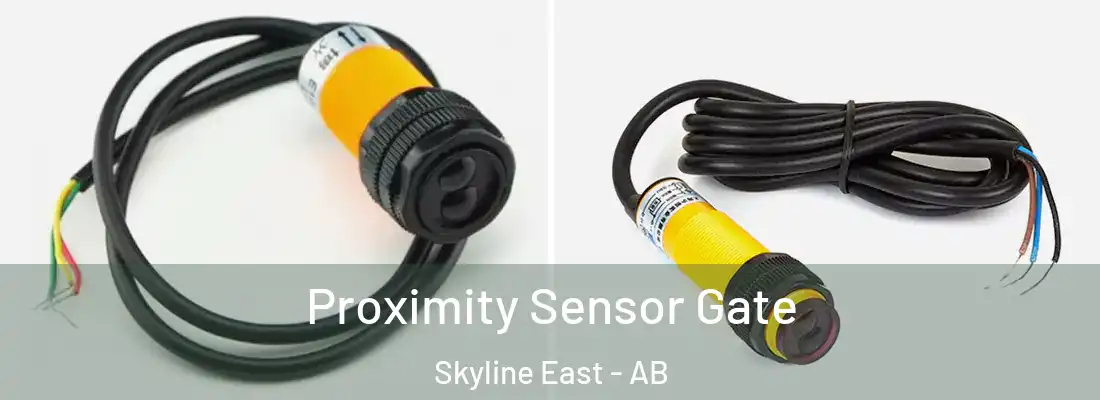  Proximity Sensor Gate Skyline East - AB
