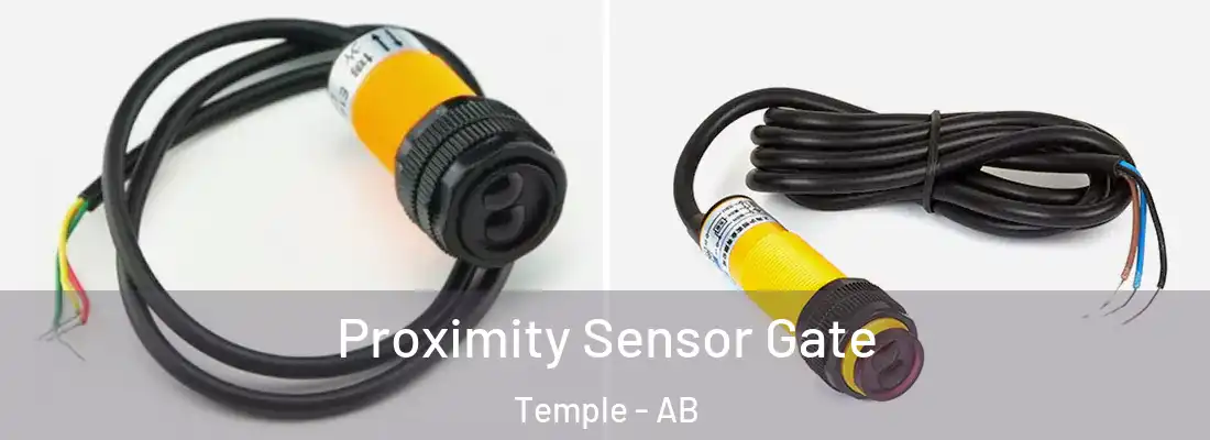  Proximity Sensor Gate Temple - AB