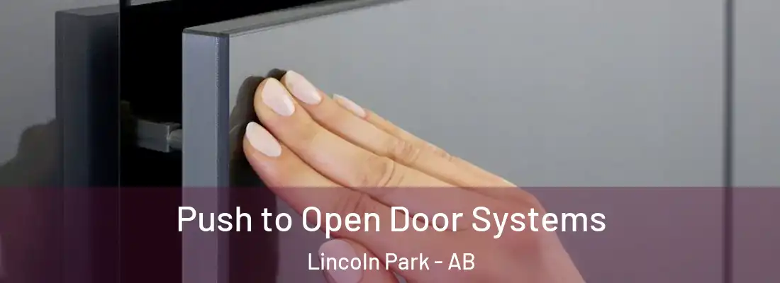  Push to Open Door Systems Lincoln Park - AB