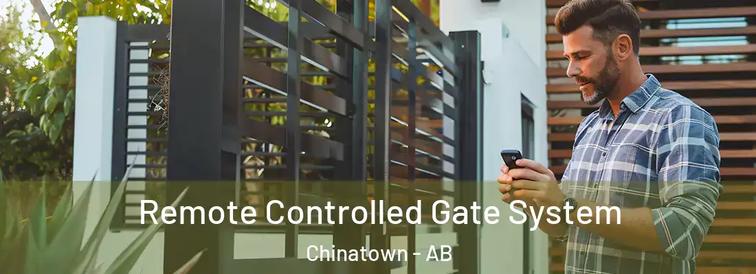  Remote Controlled Gate System Chinatown - AB