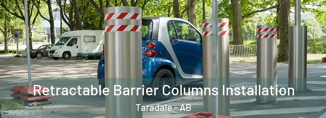 Retractable Barrier Columns Installation Taradale - AB