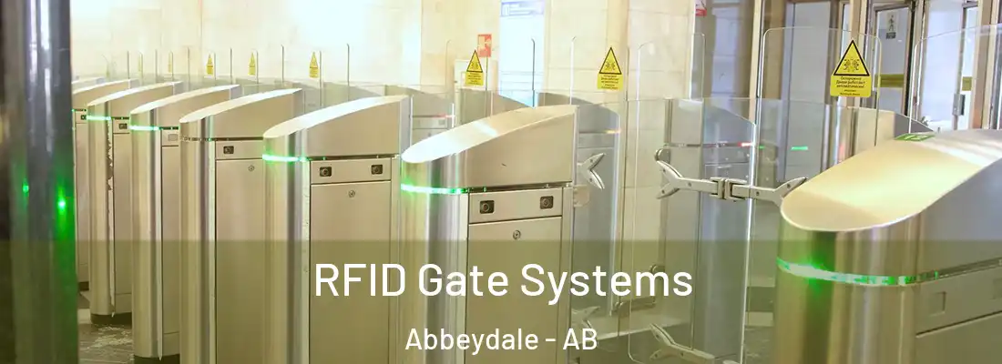  RFID Gate Systems Abbeydale - AB