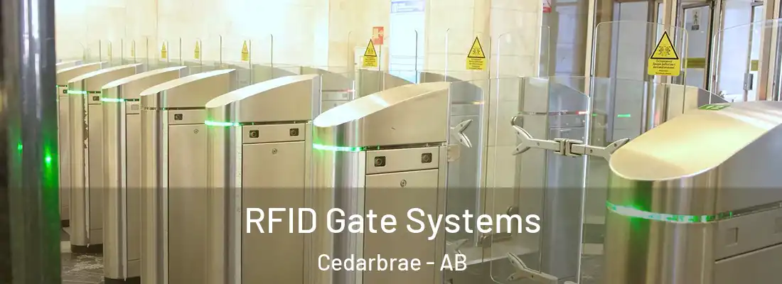  RFID Gate Systems Cedarbrae - AB