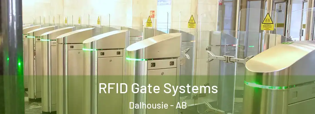  RFID Gate Systems Dalhousie - AB
