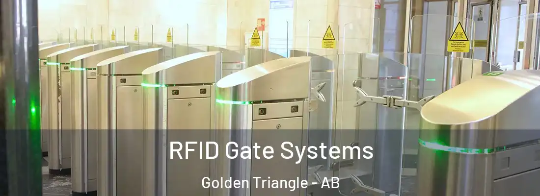  RFID Gate Systems Golden Triangle - AB