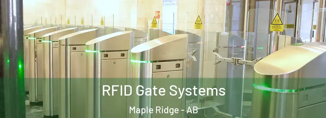  RFID Gate Systems Maple Ridge - AB