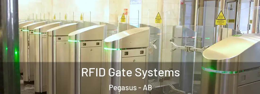  RFID Gate Systems Pegasus - AB