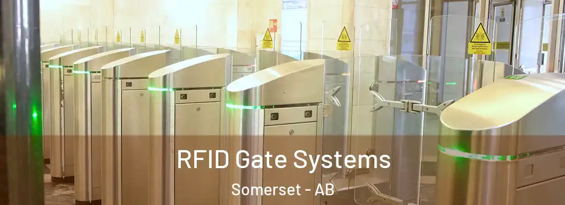  RFID Gate Systems Somerset - AB