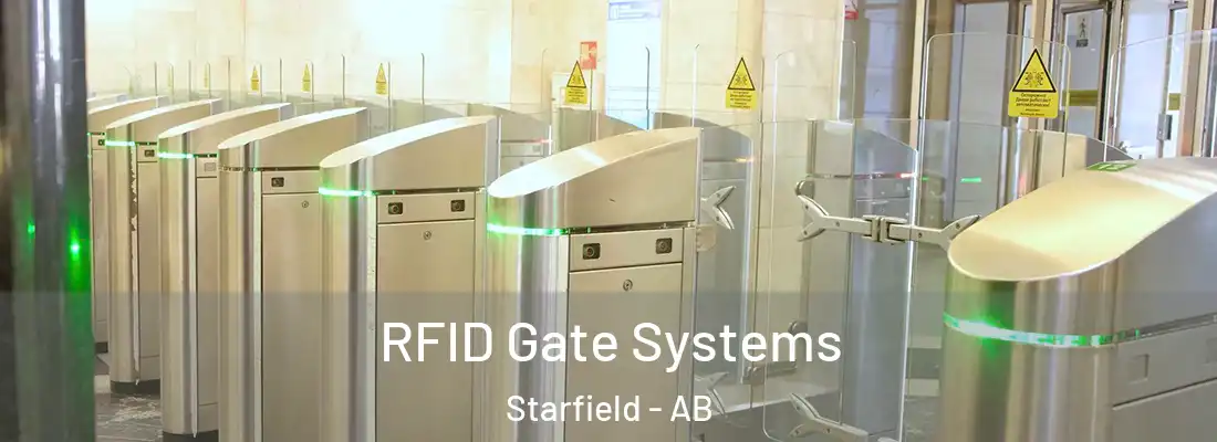  RFID Gate Systems Starfield - AB