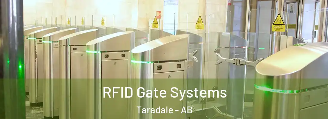  RFID Gate Systems Taradale - AB