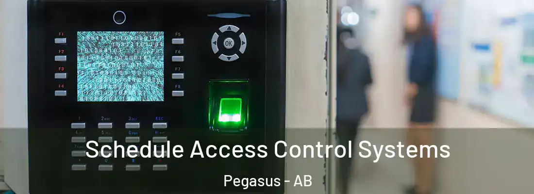  Schedule Access Control Systems Pegasus - AB