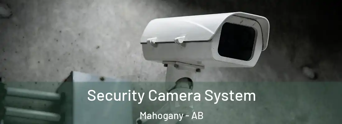  Security Camera System Mahogany - AB