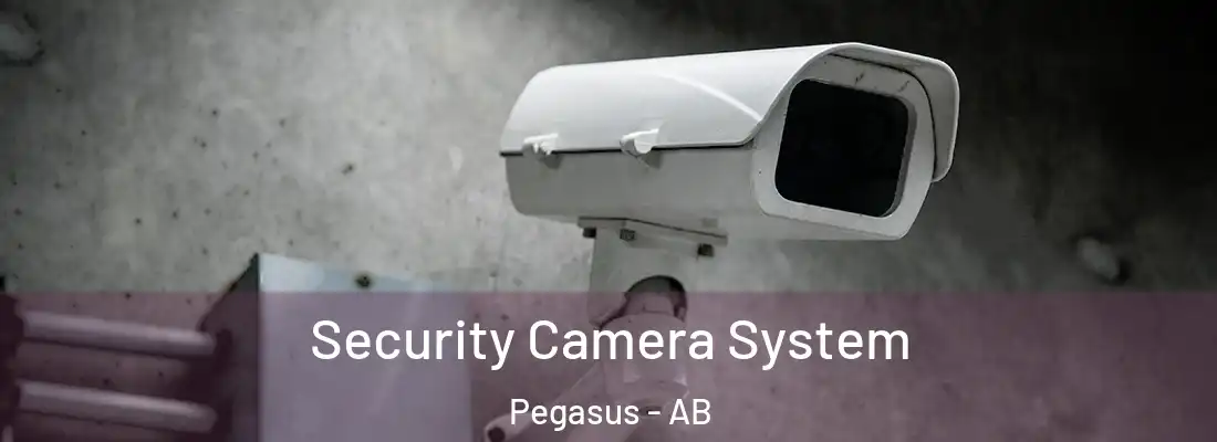  Security Camera System Pegasus - AB