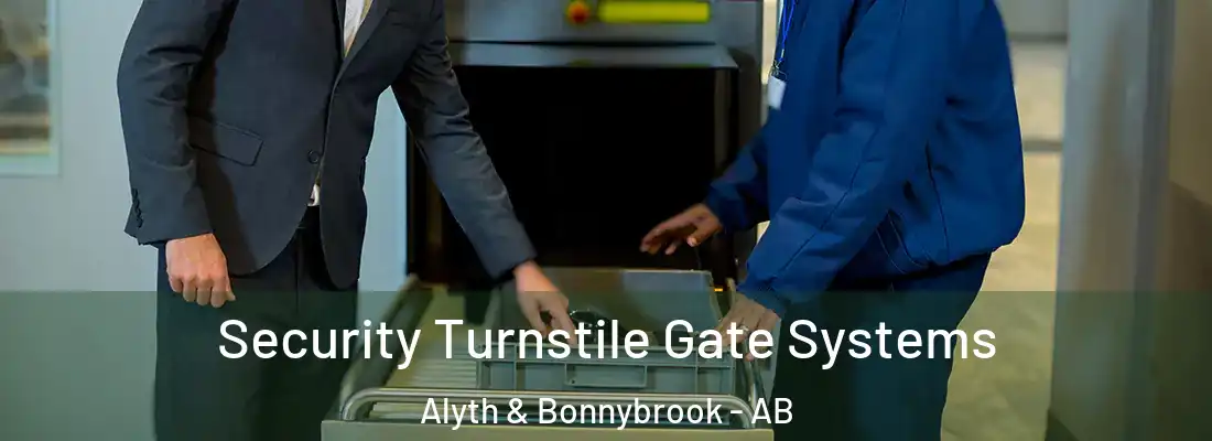  Security Turnstile Gate Systems Alyth & Bonnybrook - AB