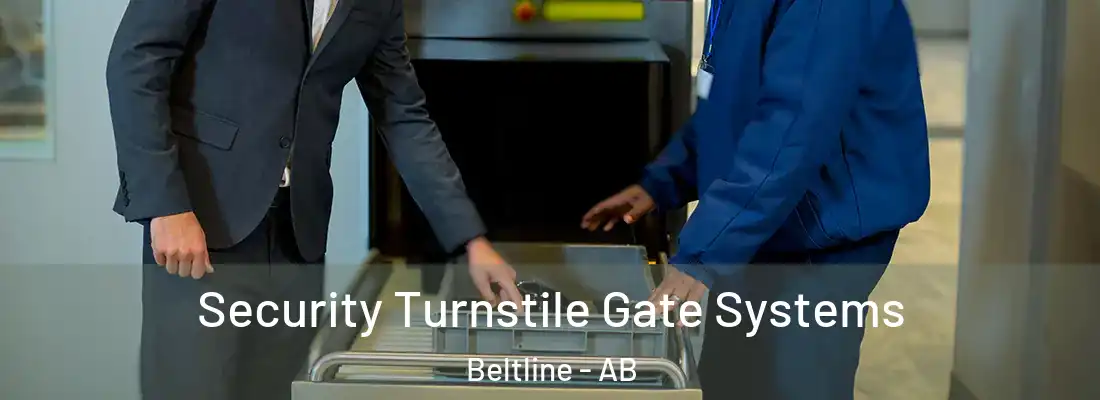  Security Turnstile Gate Systems Beltline - AB