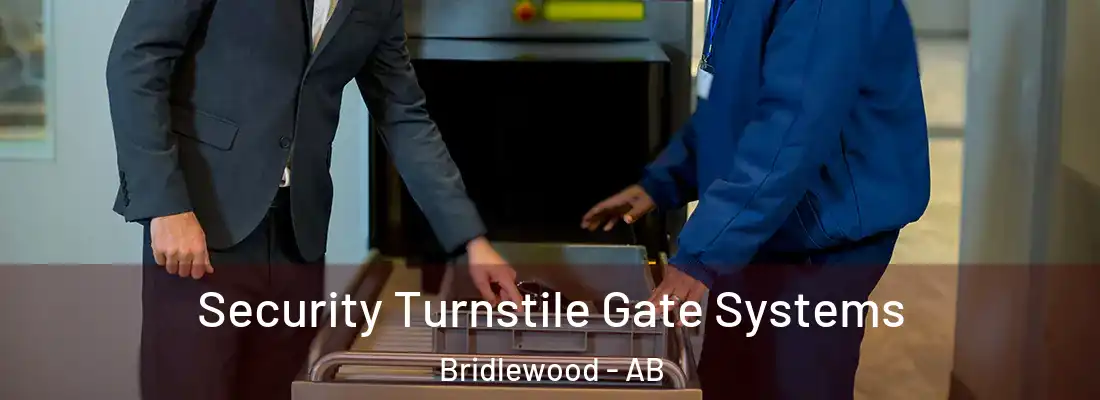  Security Turnstile Gate Systems Bridlewood - AB