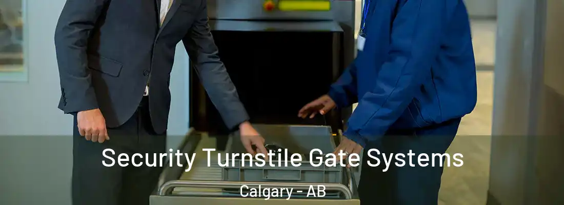  Security Turnstile Gate Systems Calgary - AB