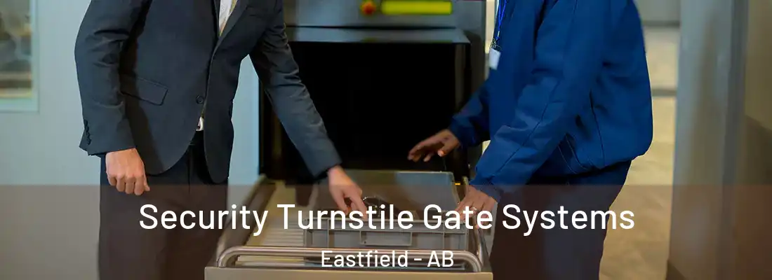  Security Turnstile Gate Systems Eastfield - AB