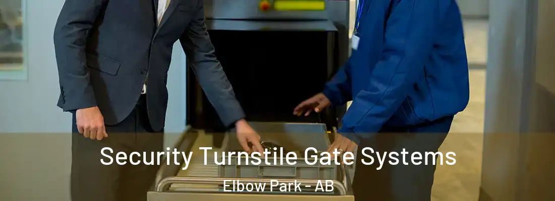  Security Turnstile Gate Systems Elbow Park - AB