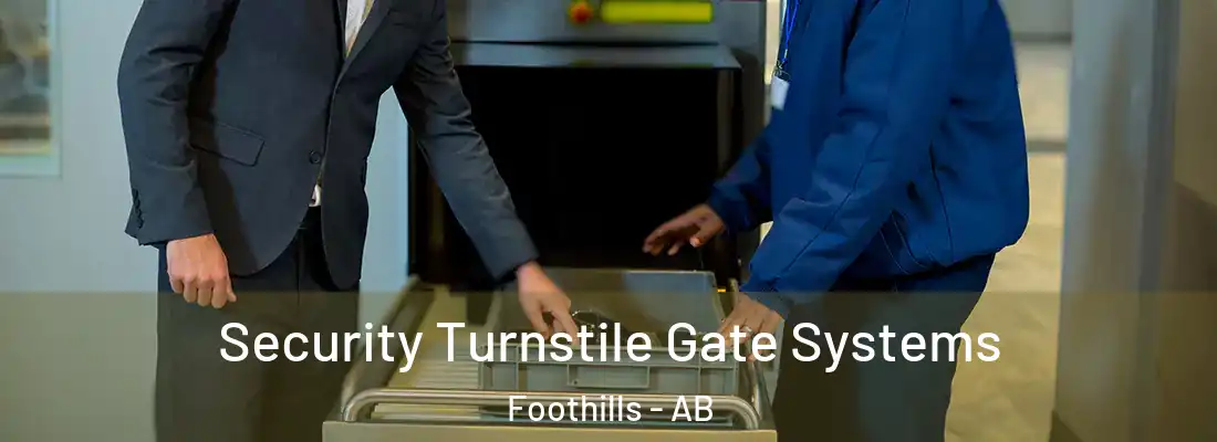  Security Turnstile Gate Systems Foothills - AB