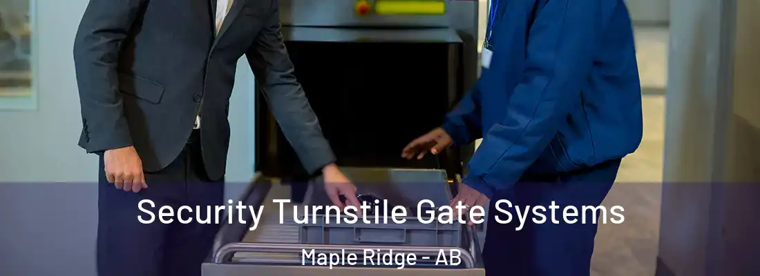  Security Turnstile Gate Systems Maple Ridge - AB