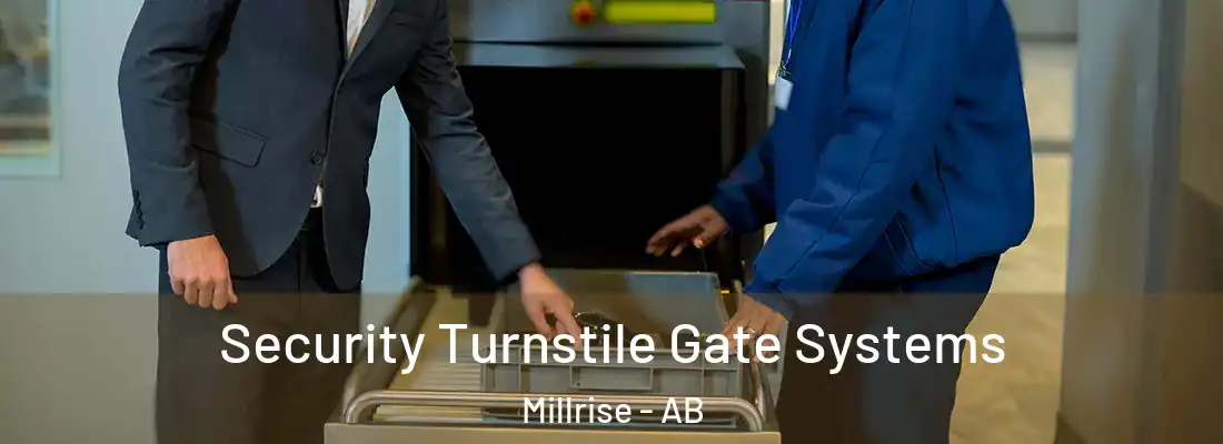  Security Turnstile Gate Systems Millrise - AB