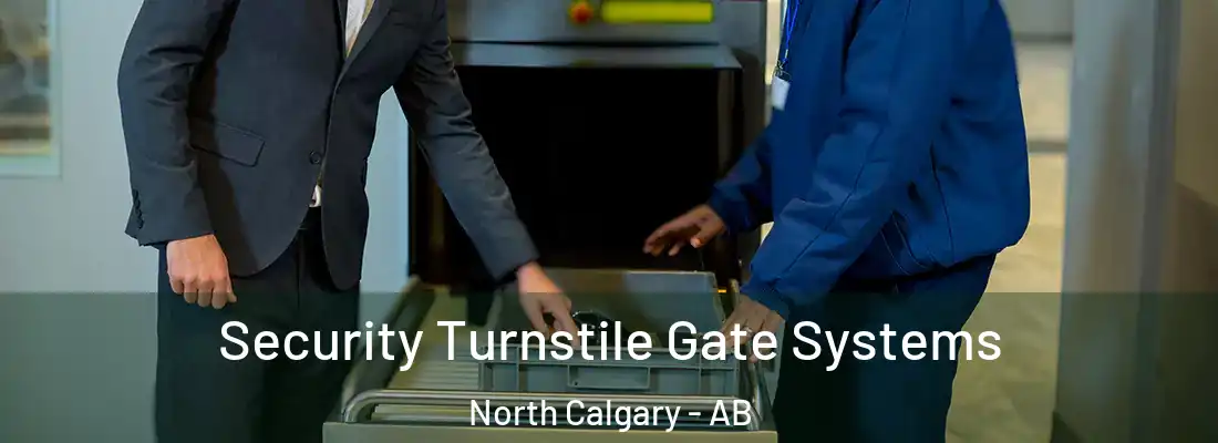  Security Turnstile Gate Systems North Calgary - AB
