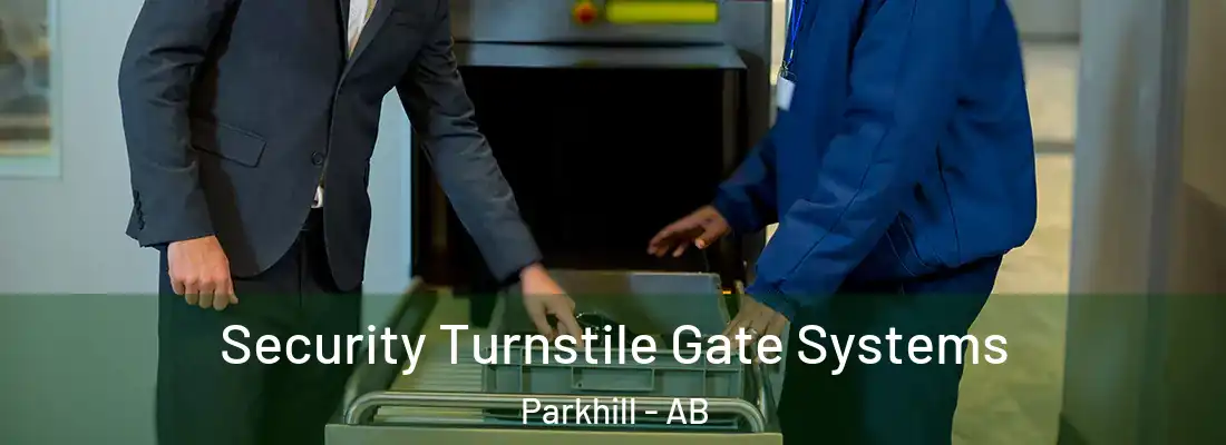  Security Turnstile Gate Systems Parkhill - AB