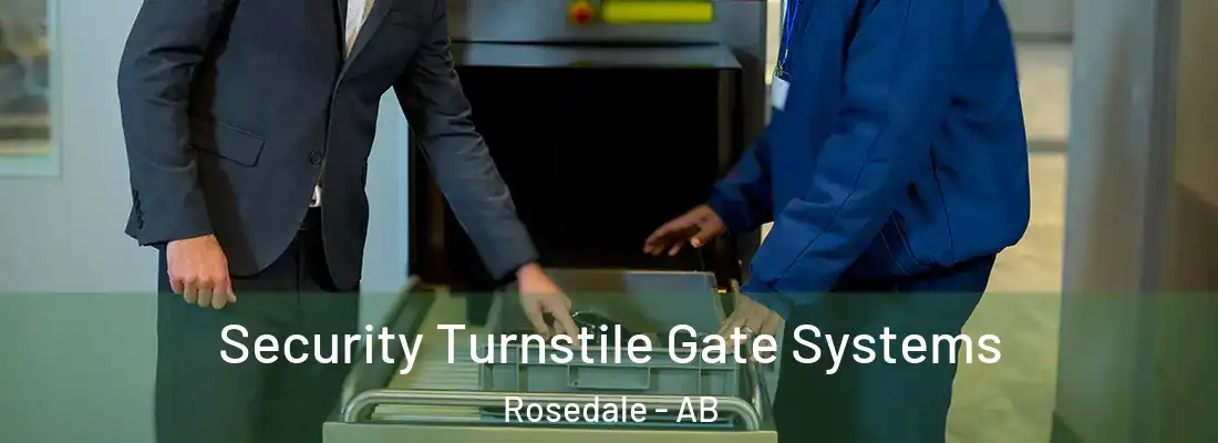  Security Turnstile Gate Systems Rosedale - AB