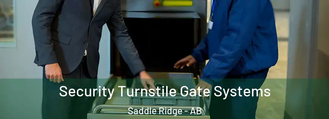  Security Turnstile Gate Systems Saddle Ridge - AB