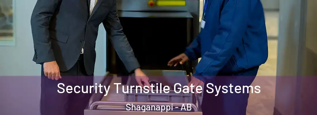  Security Turnstile Gate Systems Shaganappi - AB