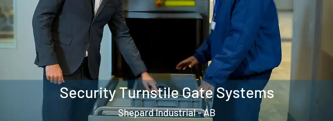 Security Turnstile Gate Systems Shepard Industrial - AB