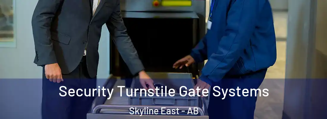  Security Turnstile Gate Systems Skyline East - AB