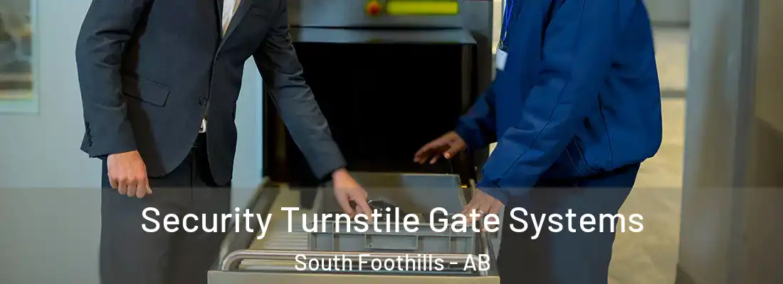  Security Turnstile Gate Systems South Foothills - AB