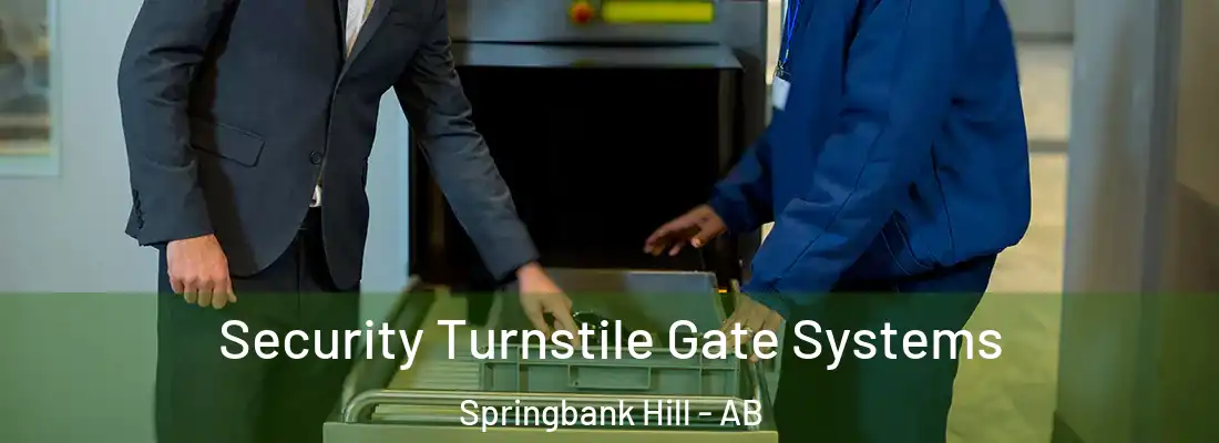  Security Turnstile Gate Systems Springbank Hill - AB