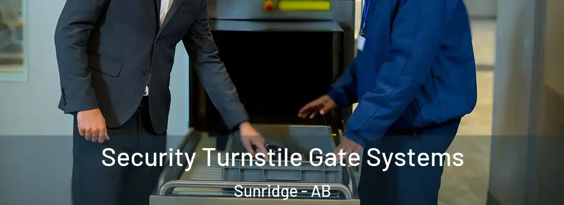  Security Turnstile Gate Systems Sunridge - AB