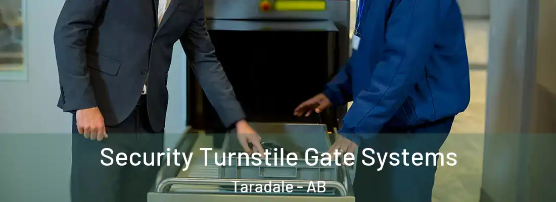  Security Turnstile Gate Systems Taradale - AB