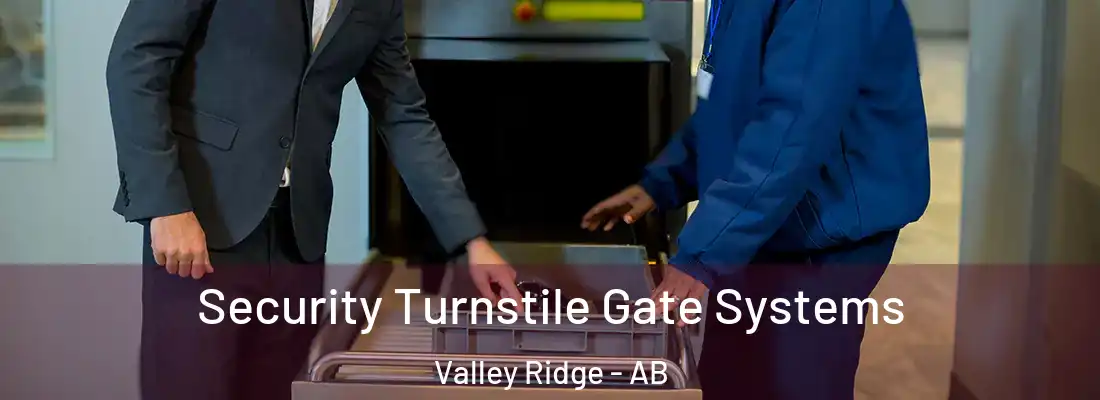  Security Turnstile Gate Systems Valley Ridge - AB