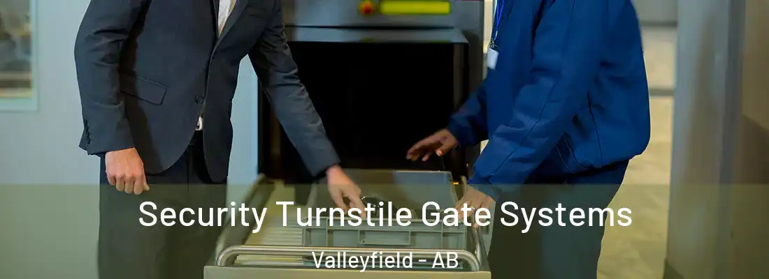  Security Turnstile Gate Systems Valleyfield - AB