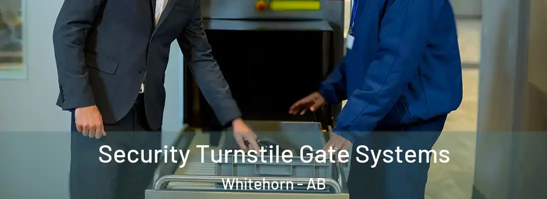  Security Turnstile Gate Systems Whitehorn - AB