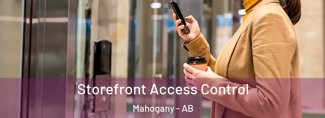  Storefront Access Control Mahogany - AB
