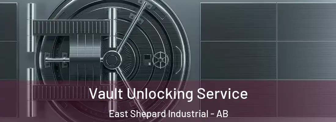  Vault Unlocking Service East Shepard Industrial - AB