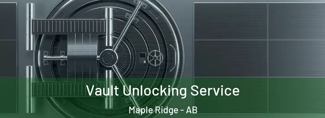  Vault Unlocking Service Maple Ridge - AB