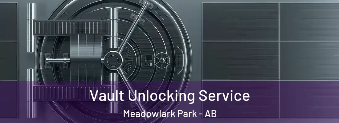  Vault Unlocking Service Meadowlark Park - AB