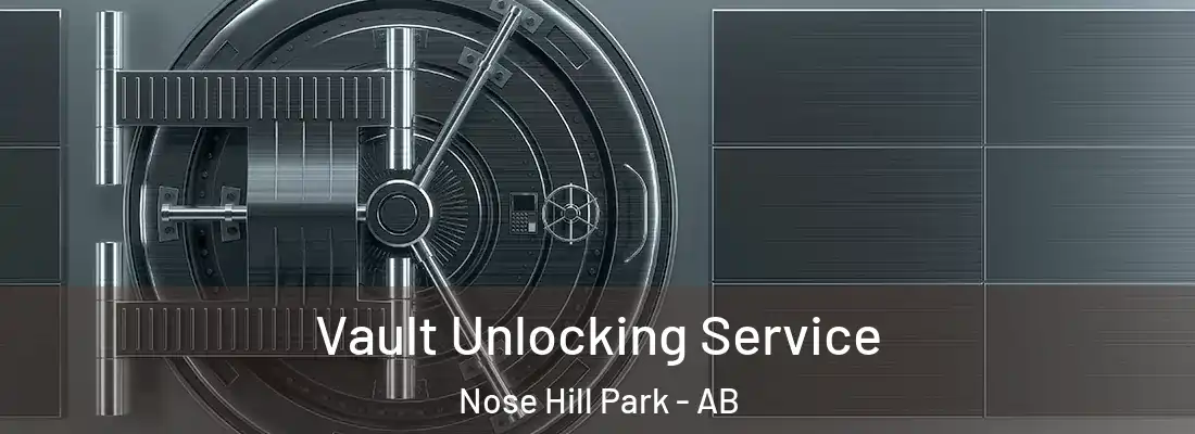  Vault Unlocking Service Nose Hill Park - AB