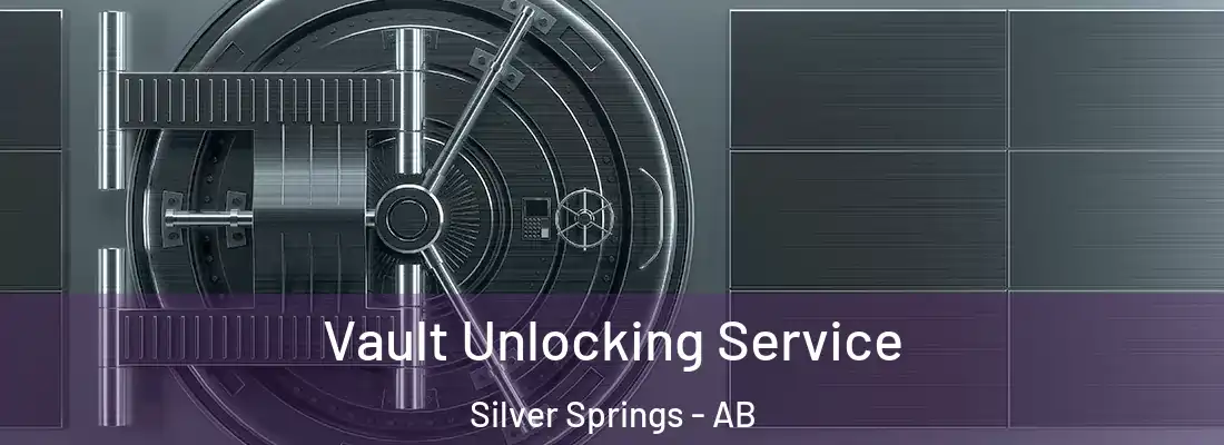  Vault Unlocking Service Silver Springs - AB